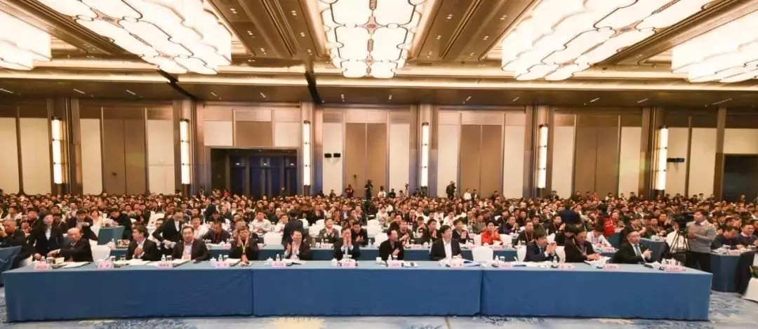 1576132260167824.jpg 奇信.jpg