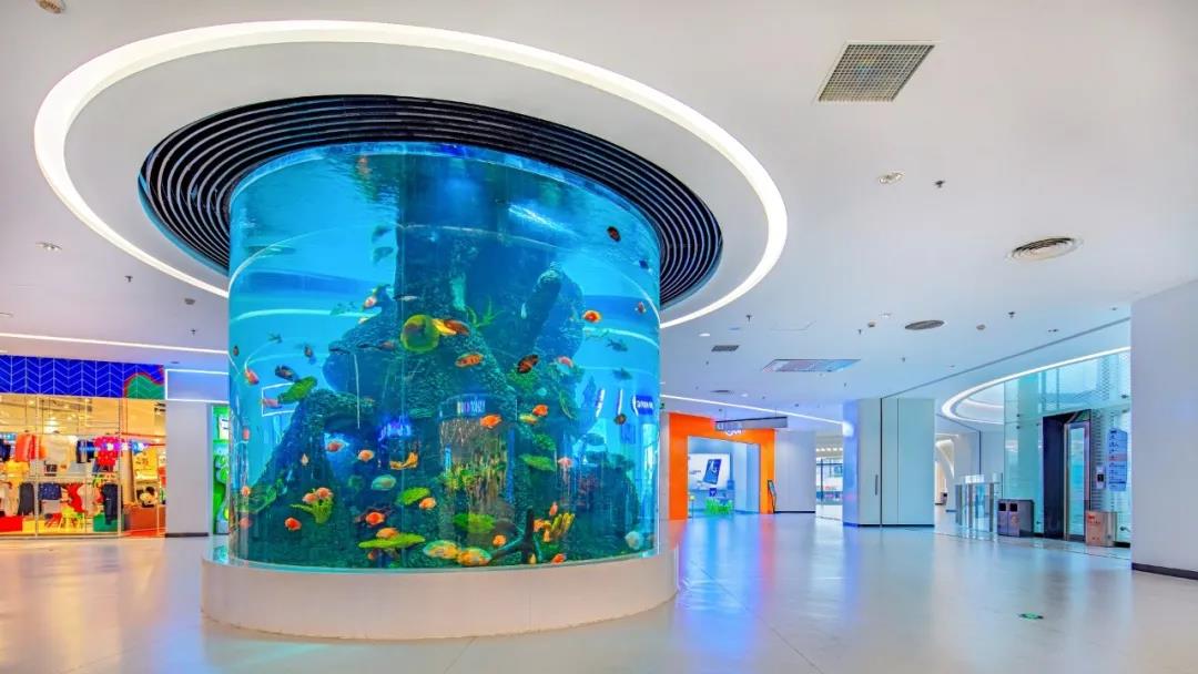 1599882836590137.jpg 1599882836590137.jpg