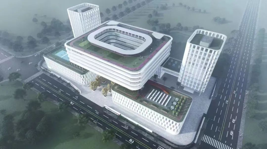 1687764334562597.jpg 10.jpg